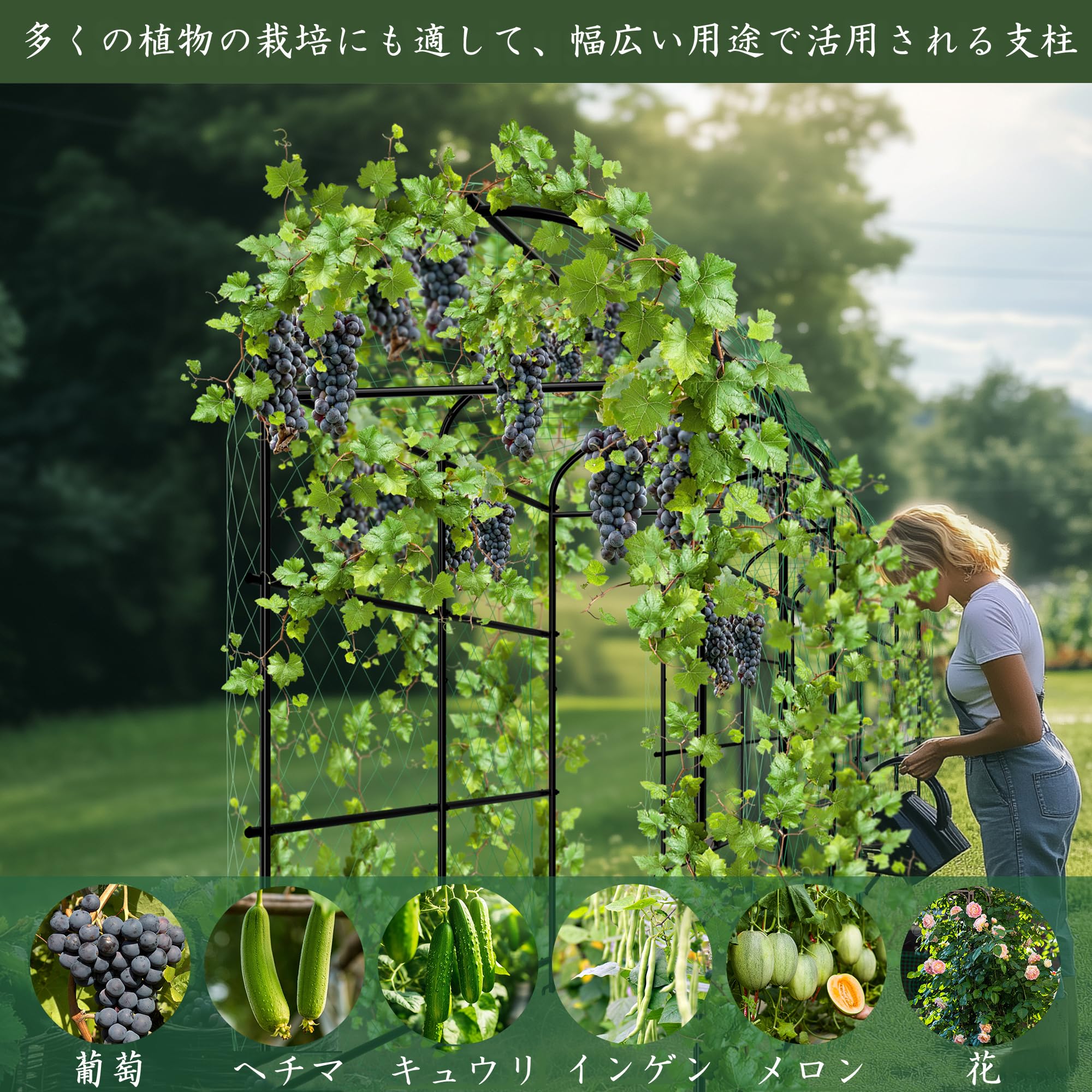 Amazon | UNHO つる棚 支柱 園芸 アーチ 家庭菜園 畑 つる棚 ガーデン